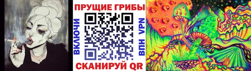 Галлюциногенные грибы ЛСД  сколько стоит  ссылка на мегу tor  Чудово 